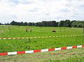 MRD2004-CU_jpg