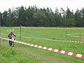 mini-IMG_1241_JPG