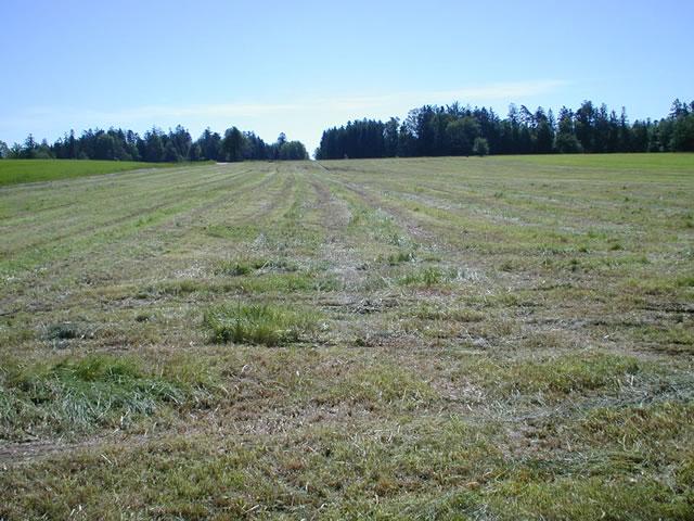 P1010006_JPG.jpg