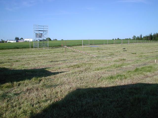 P1010012_JPG.jpg