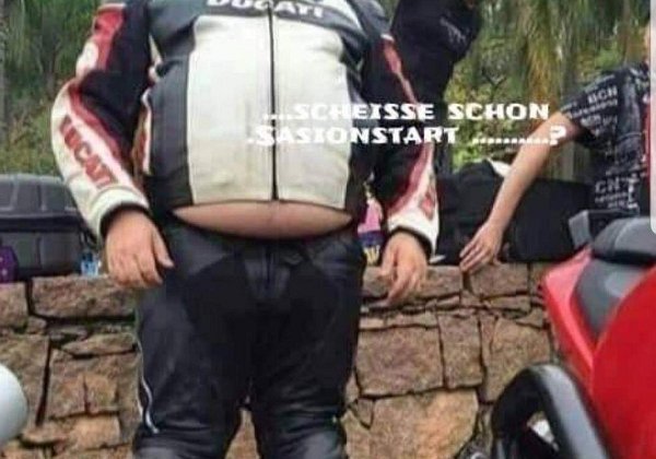 Mofateam Sturzbomber MRD 2019